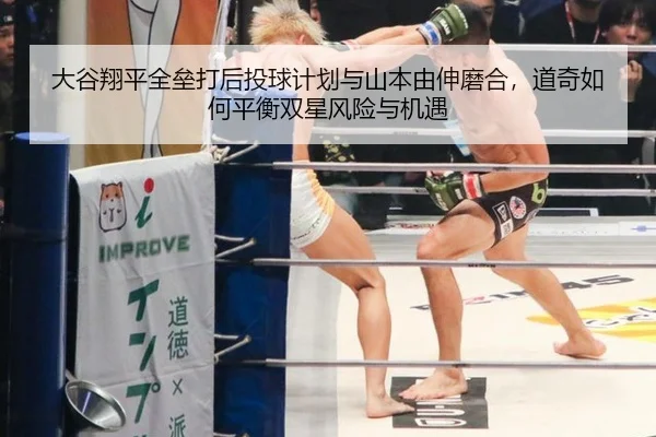 da-gu-xiang-ping-quan-lei-da-hou-tou-qiu-ji-hua-yu-shan-ben-you-shen-mo-he-dao-qi-ru-he-ping-heng-shuang-xing-feng-xian-3-518.jpg
