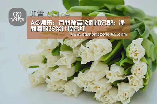 AG娱乐:万科孙嘉谈利润分配:净利润的35%计提分红(图2) AG电竞